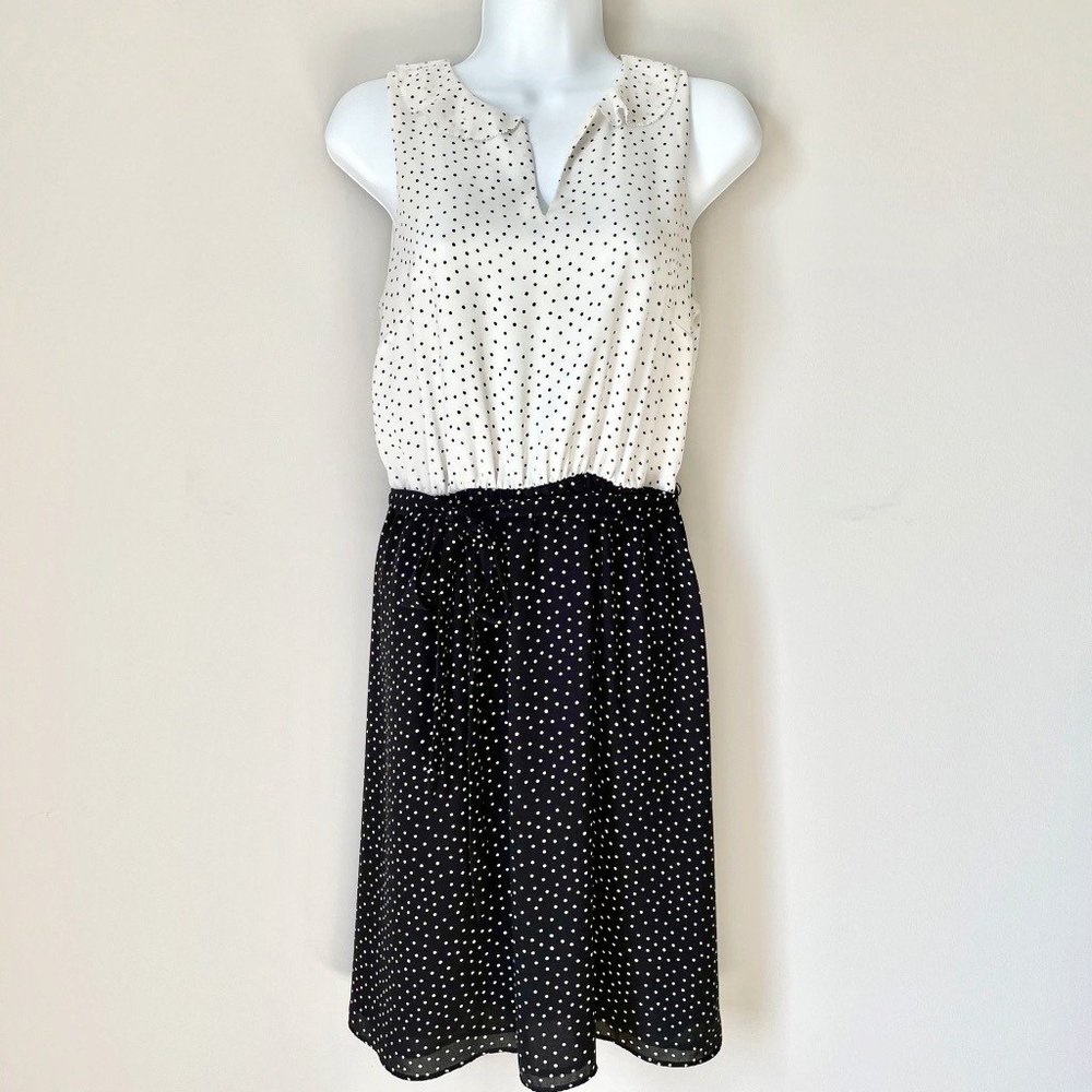 LOFT Polka Dot Dress